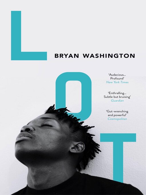 Cover image for Lot
